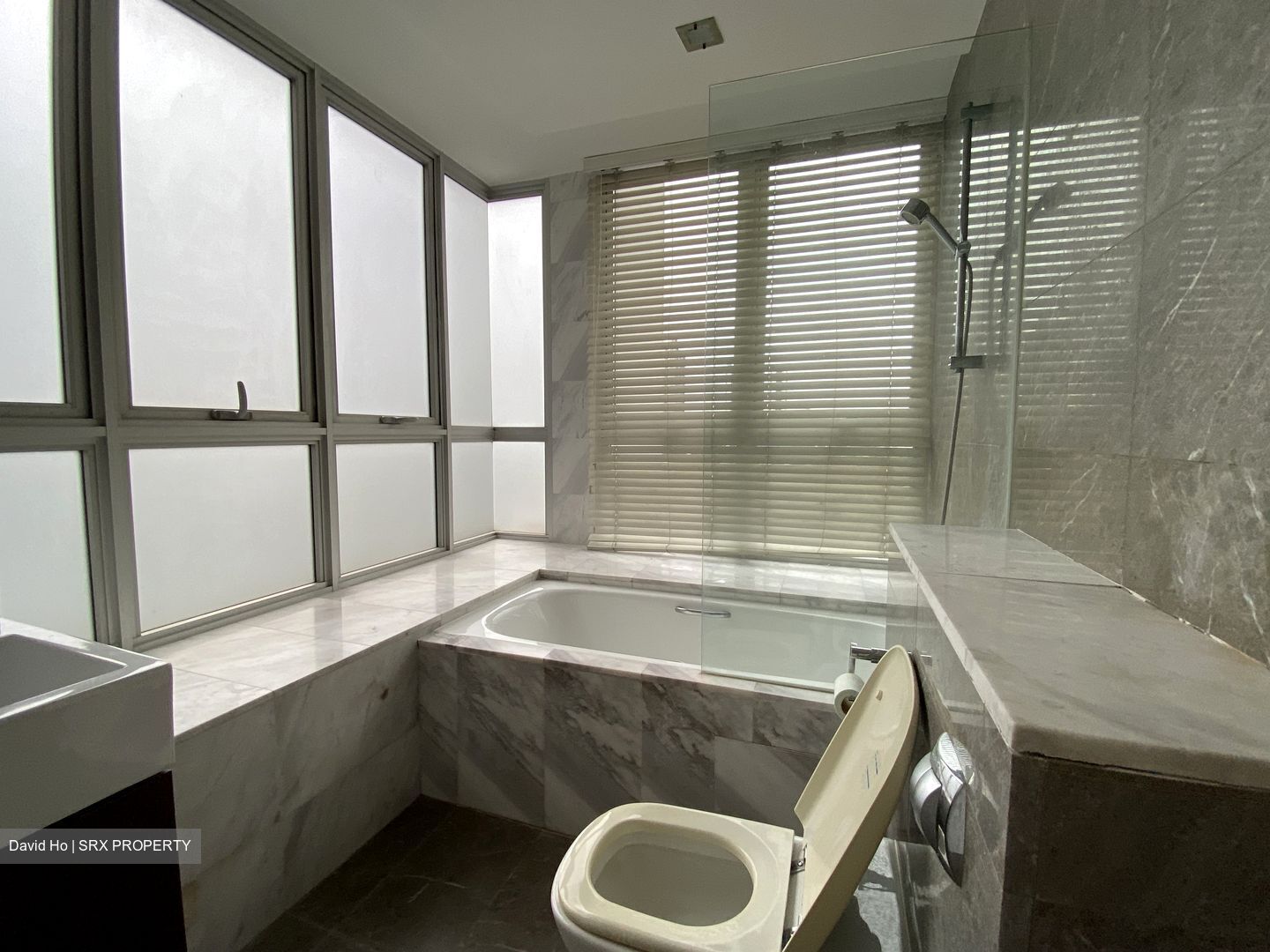 The Parc Condominium (D5), Condominium #420348251